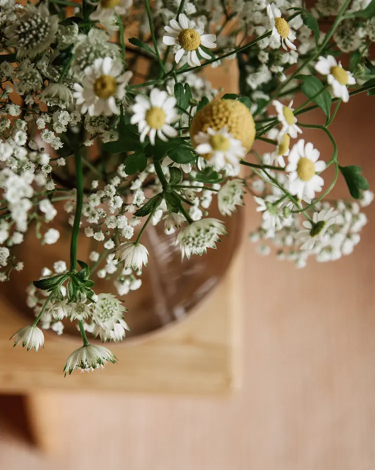 Bio-Landpension Monika - Leutasch, Austria | Good Travel