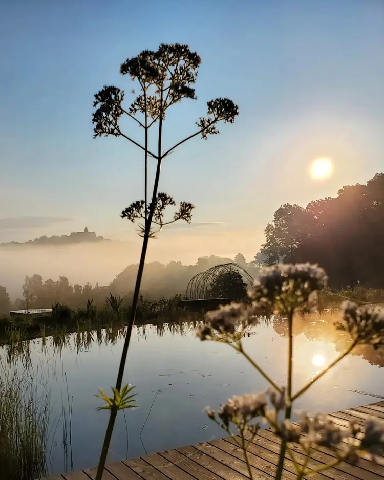 Baumhausapartment - Breuberg, Germany | Good Travel