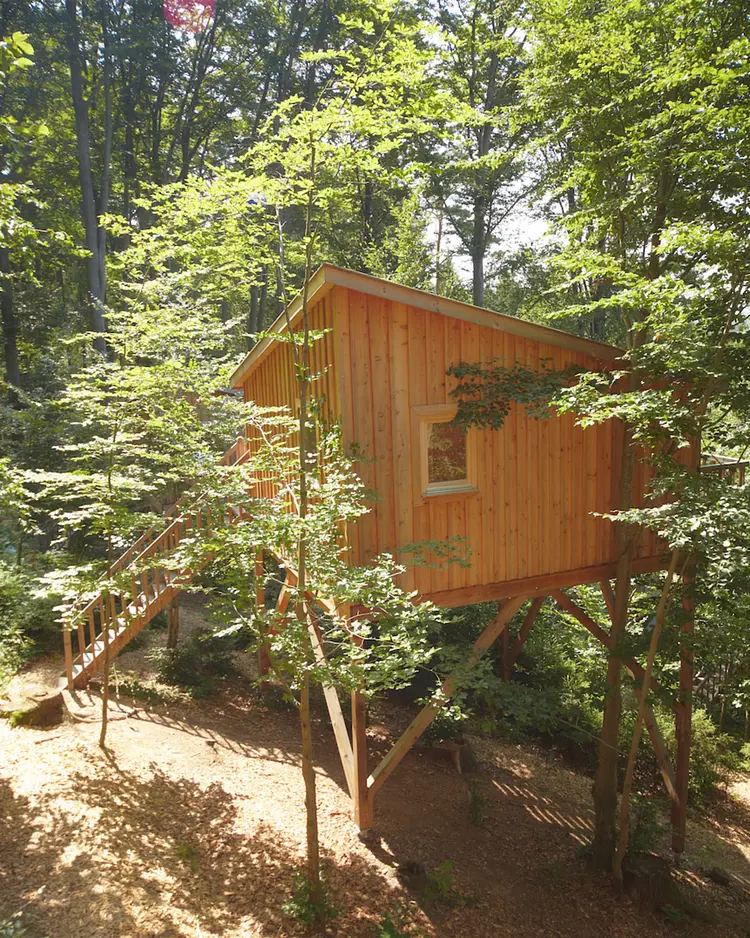 Hotel Baumpalast - Rosenberg, Deutschland | Good Travel