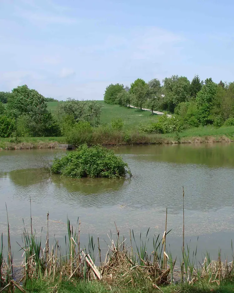 Hotel Baumpalast - Rosenberg, Germany | Good Travel