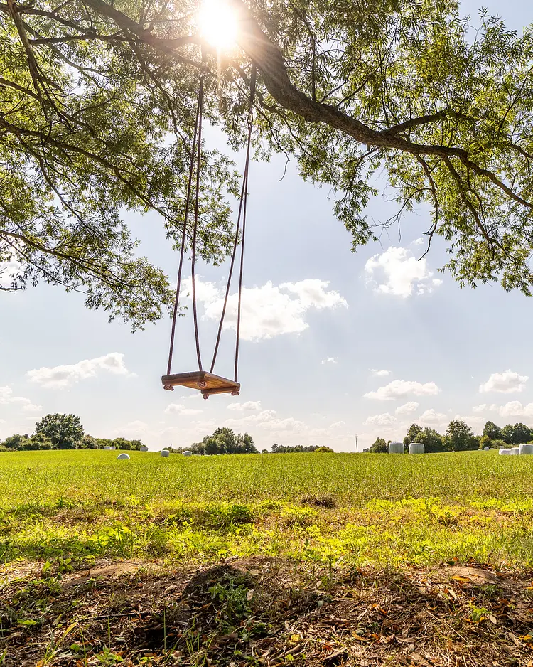 Beniaskie! - Bieniasze, Polen | Good Travel