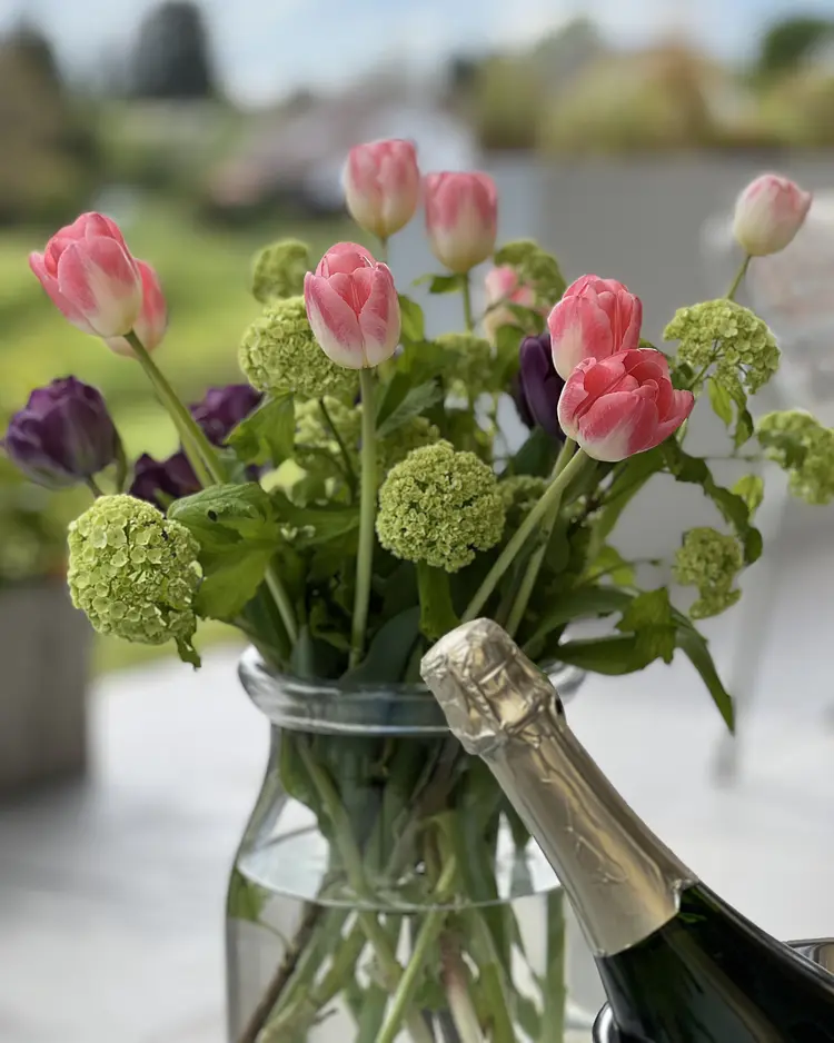 BLICKinsGRÜN - Friedrichshafen, Deutschland | Good Travel