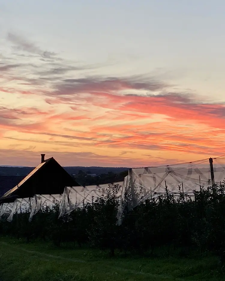 BLICKinsGRÜN - Friedrichshafen, Germany | Good Travel