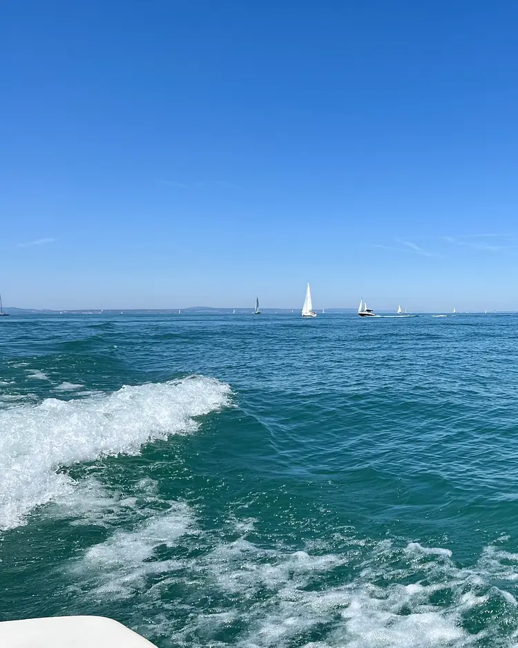 BLICKinsGRÜN - Friedrichshafen, Germany | Good Travel