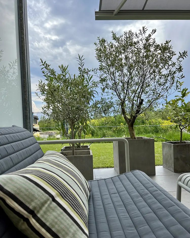 BLICKinsGRÜN - Friedrichshafen, Germany | Good Travel