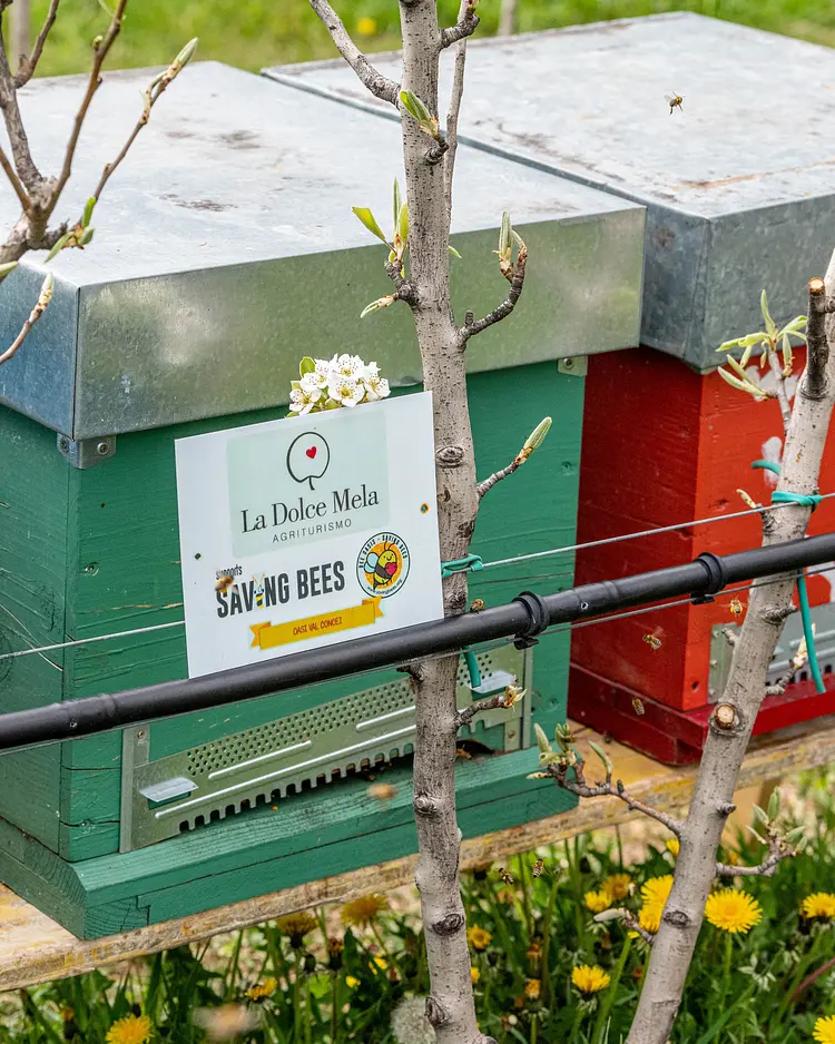 Agritur La Dolce Mela - Vallelaghi, Italy | Good Travel