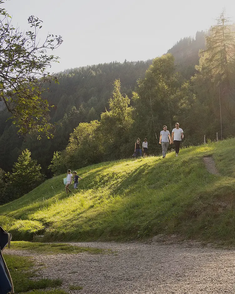 Briol - Barbiano, Italien | Good Travel