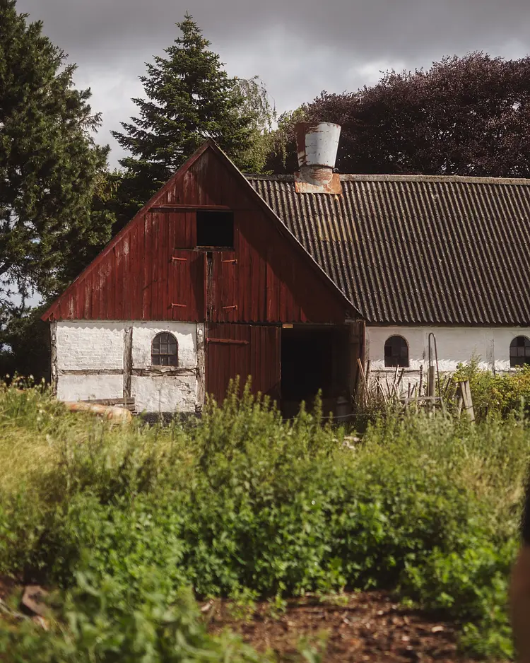 Dambækgaard - Hårlev, Dänemark | Good Travel