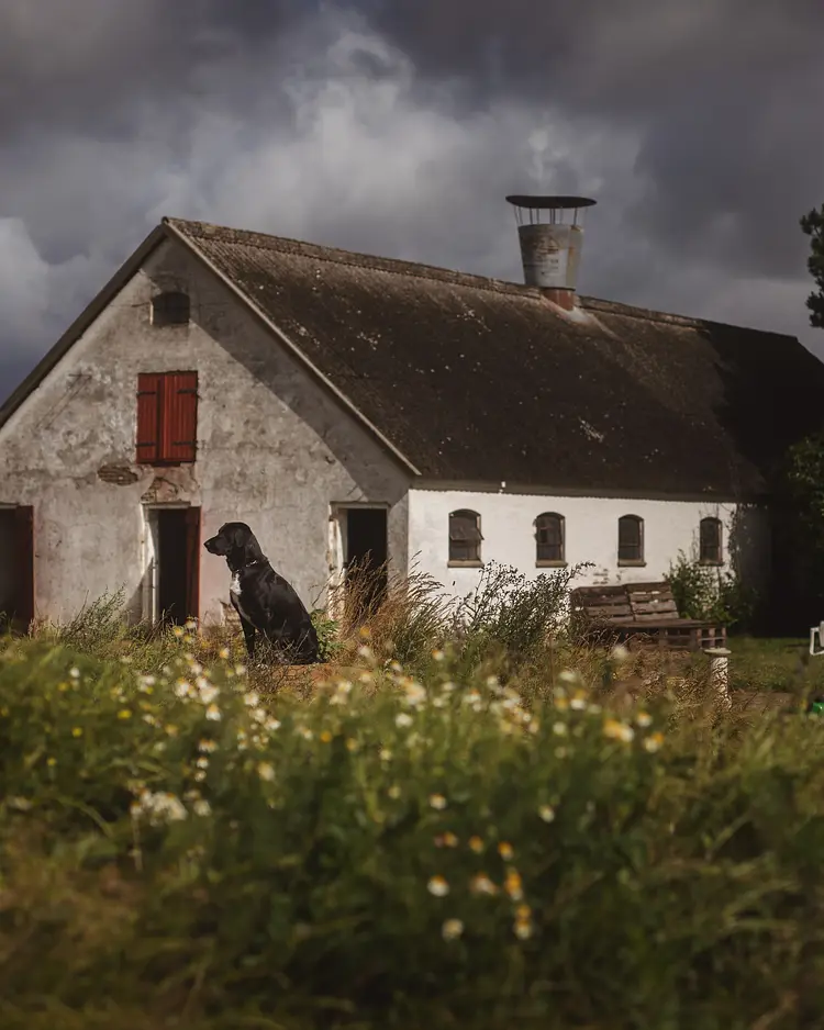 Dambækgaard - Hårlev, Dänemark | Good Travel