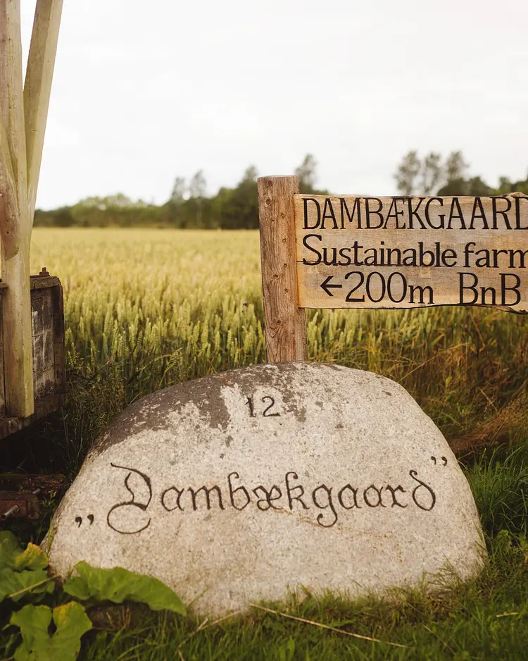 Dambækgaard - Hårlev, Dänemark | Good Travel