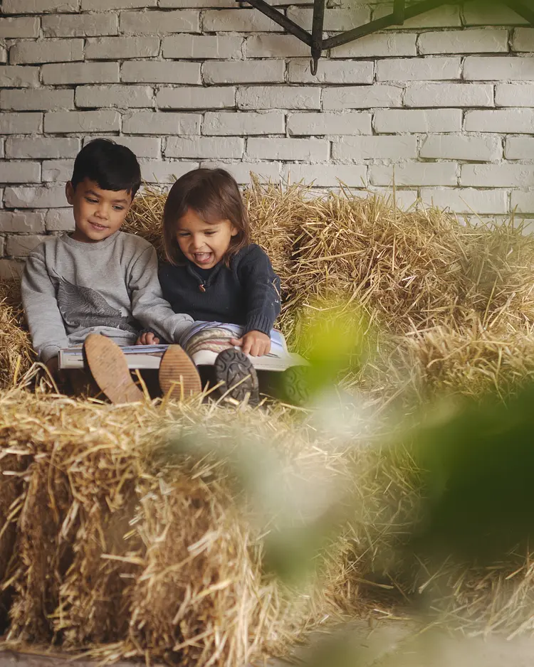 Dambækgaard - Hårlev, Denmark | Good Travel